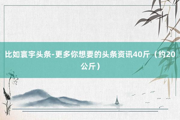 比如寰宇头条-更多你想要的头条资讯40斤(约20公斤)