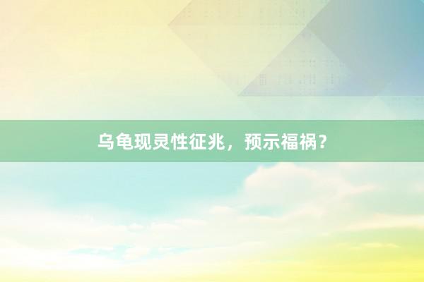 乌龟现灵性征兆,预示福祸?