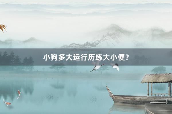 小狗多大运行历练大小便？