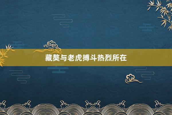 藏獒与老虎搏斗热烈所在